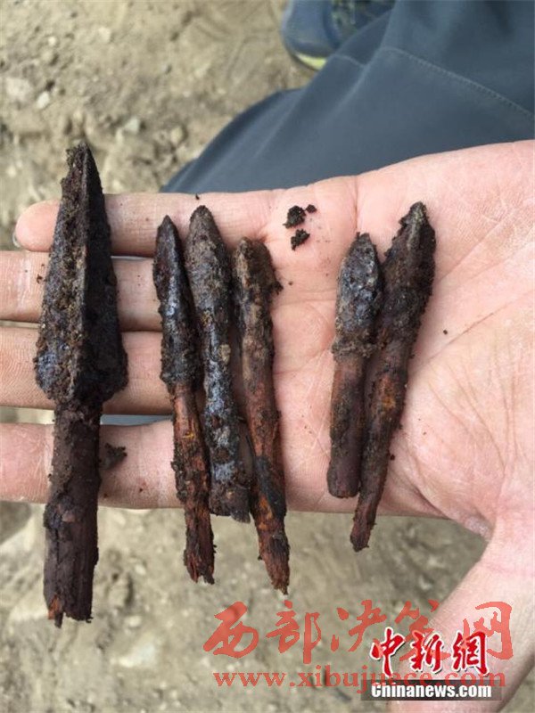 1498007307388232.jpg 3.jpg