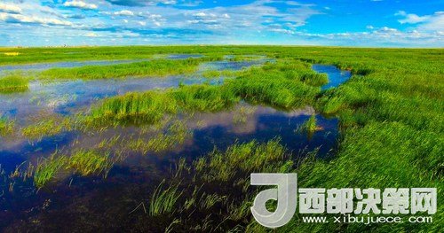 呼倫湖濕地。吳勇攝