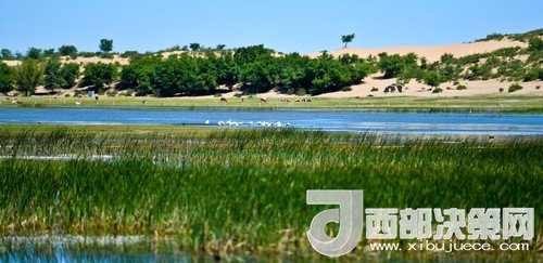 阿魯科爾沁保護區(qū)濕地沙丘。吳勇攝