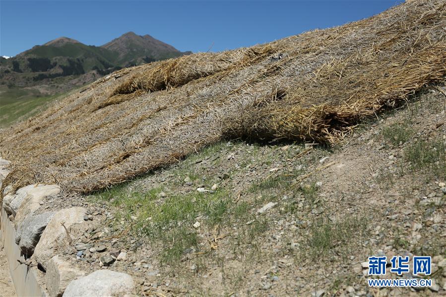 (圖文互動(dòng))(4)新疆賽里木湖:水清草綠回歸“高顏值”