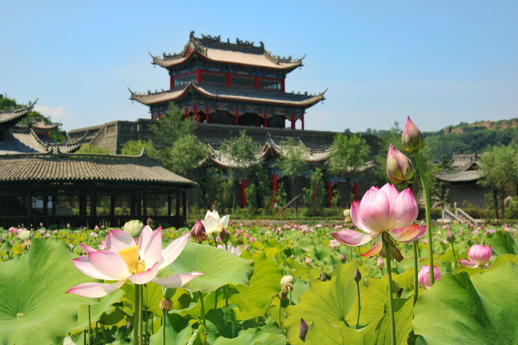 【云游渭南】心中若有桃花源，此處便是水云間！待疫情散盡，一起來渭南桃花源賞美景、觀民俗、享美食_fororder_2