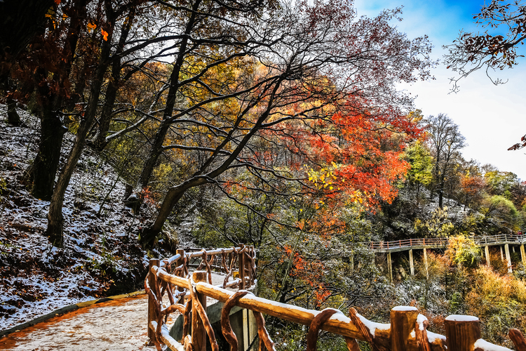 【云游渭南】待到春暖花開(kāi)之時(shí)，我們相約草長(zhǎng)鶯飛的少華山！_fororder_冬雪初吻