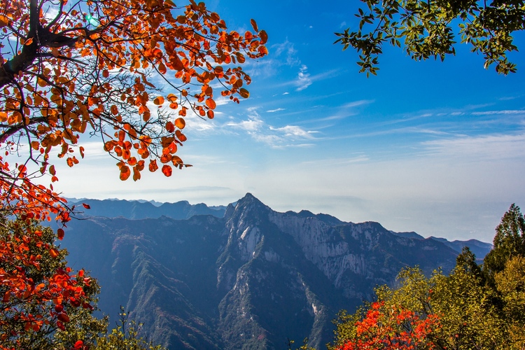 【云游渭南】待到春暖花開(kāi)之時(shí)，我們相約草長(zhǎng)鶯飛的少華山！_fororder_少華峰